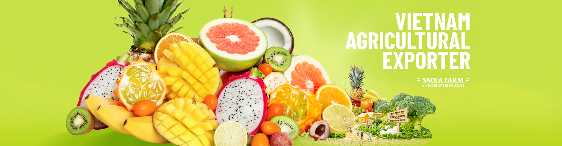 Fresh Fruit _ Premium Fresh from Saola Farm SSB Holdings Vietnam Agricultural Exporter 