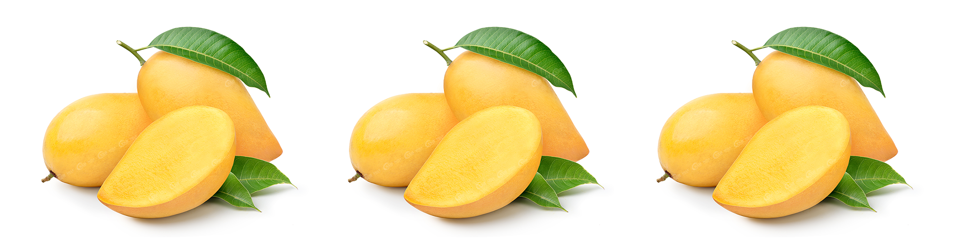 Xoài Cát Chu Vàng