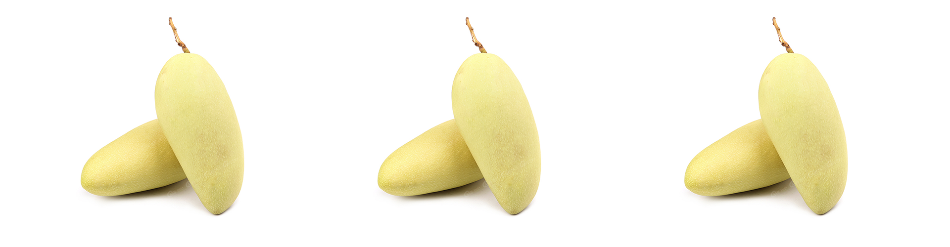Xoài Tượng Vàng