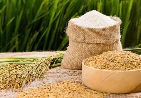 [Market News] Vượt Thái và Ấn Độ, Việt Nam thành nước xuất khẩu gạo lớn nhất vào Singapore