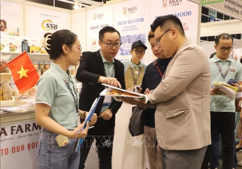[Event News] SSB Holdings tham dự Hội chợ thực phẩm quốc tế tại Hong Kong 2024