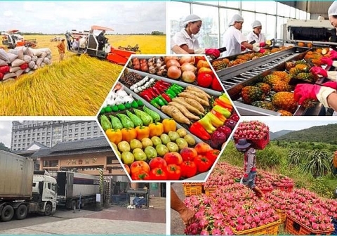 [Market News] Vì sao giá nhiều loại nông sản xuất khẩu tăng kỷ lục?