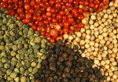 [Market News] Giá hồ tiêu tăng mạnh, xuất khẩu sang nhiều thị trường tăng gấp đôi