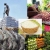 [Market News] Xuất khẩu nông, lâm, thủy sản 8 tháng đầu năm 2023 đạt hơn 33 tỷ USD