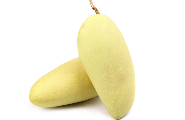 Xoài Tượng Vàng