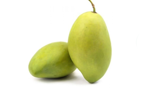 Xoài Cát Hòa Lộc