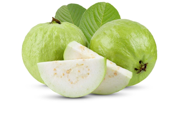 Ổi Nữ Hoàng