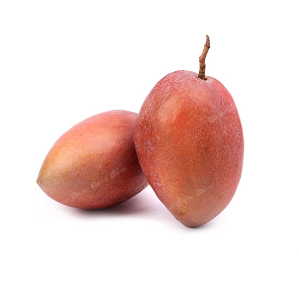 Xoài Đỏ Ngọc Vân