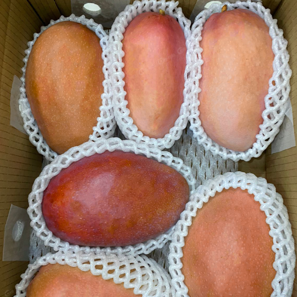 Xoài Đỏ Ngọc Vân