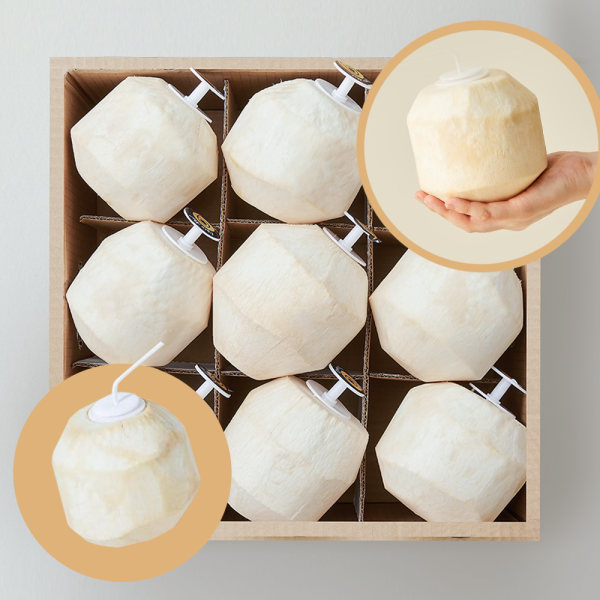 Dừa Đóng Nút